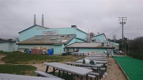 phil's fish house.